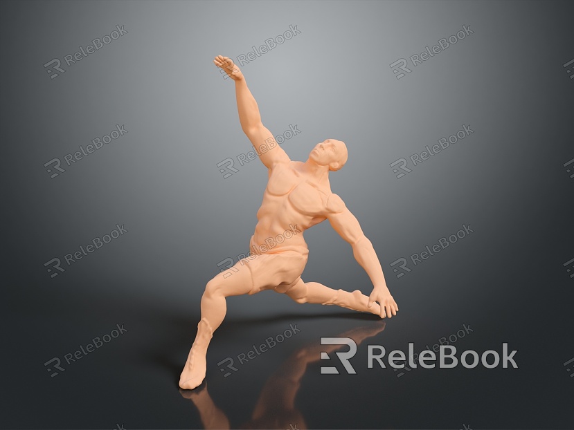 gymnast bodybuilder sports star athlete sports athlete figure game figure model