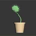 Green Spiky Plant Growing In Beige Flower Pot With Dark Soil And Gray Background