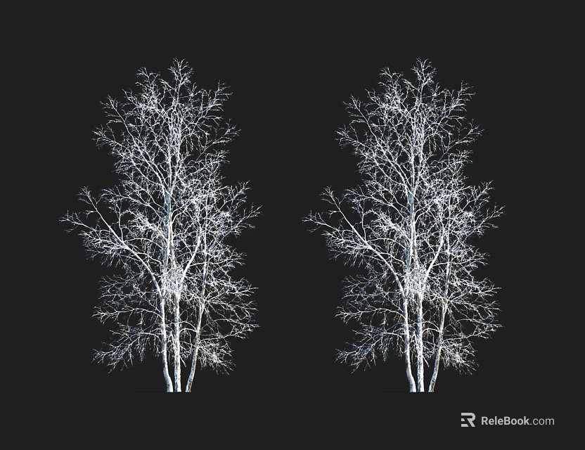 Two Leafless Trees with Bare Branches Silhouette Against Black Background 3d model 