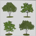 Outdoor Tree Pit Design With Different Trees And Circular Green Bases 3d model