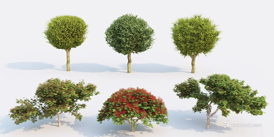Different Types of Decorative Garden Shrubs With Green and Red Foliage Shapes 3d model 