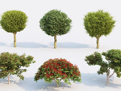 Different Types of Decorative Garden Shrubs With Green and Red Foliage Shapes 3d model