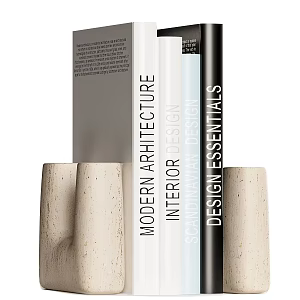 Modern Bookshelves 3d model