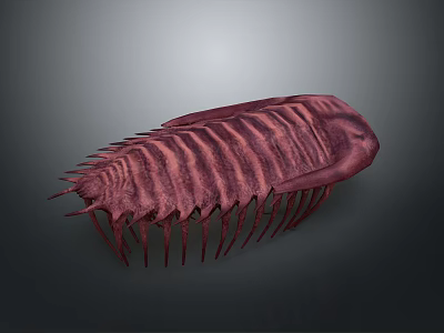 Purple Red Striped Trilobite 3D Model with Spiked Edges and Textured Surface on Gray Background 3d model