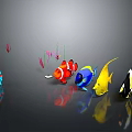 Colorful Fish in Various Colors Swimming Underwater with Reflection on Gray Background