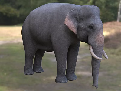 Gray Elephant Standing On Green Grassland With Long Tusks And Ears 3d model