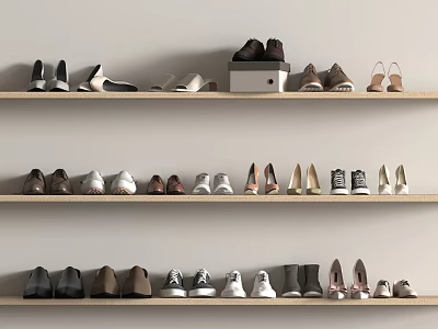 Various Style Shoes Arranged On Wooden Shelves With Different Colors And Shoe Box 3d model