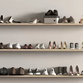Various Style Shoes Arranged On Wooden Shelves With Different Colors And Shoe Box