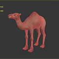 Light Brown Dromedary Camel with Smooth Fur Standing Sideways on Gray Background 3d model