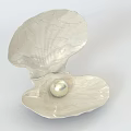 Elegant Pearl Jewelry Showcased In Open Shell With Smooth Surface And Natural Shine