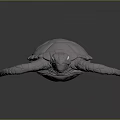 Modern Turtle Cartoon Turtle 3d model