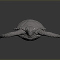 Modern Turtle Turtle Turtle Cartoon Turtle 3d model