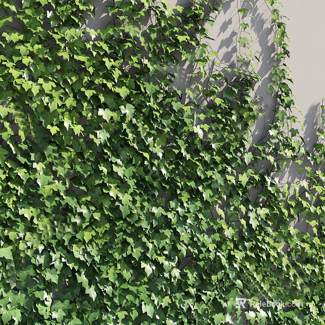 Lush Green Ivy Vines With Dense Foliage Covering Wall For Natural Decorative Scenery 3d model 