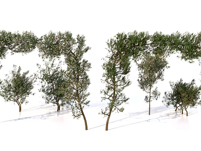Lush Vine Plants With Various Shapes Slender Stems And Dense Foliage 3d model