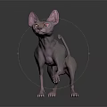 Sphynx Cat With Hairless Pink Skin Red Eyes Standing On Shiny Dark Floor