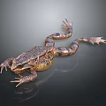 Brown And Black Spotted Frog With Stretched Limbs On Dark Background Surface 3d model