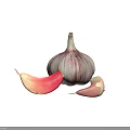 Fresh Whole Garlic Bulb with Peeled Garlic Cloves on White Background