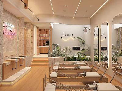 Yoga Studio Interior With Hammock Seats Mirrors Green Plants And Wooden Floor 3d model