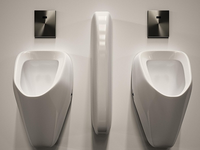 Urinal model