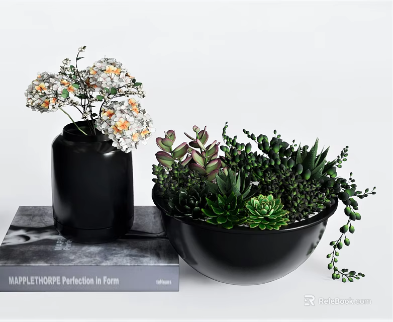 Bonsai Succulent Potted Plant in Black Bowl with Mixed Varieties and Decorative Book 3d model 