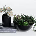 Bonsai Succulent Potted Plant in Black Bowl with Mixed Varieties and Decorative Book