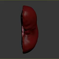 Red Anatomical Ear With Detailed Internal Structure On Gray Background