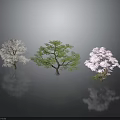 Three Decorative Trees White Green Purple with Foliage and Reflections on Dark Surface