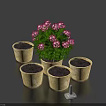 Potted Plant with Pink Flowers and Four Empty Light Colored Pots on Dark Tabletop
