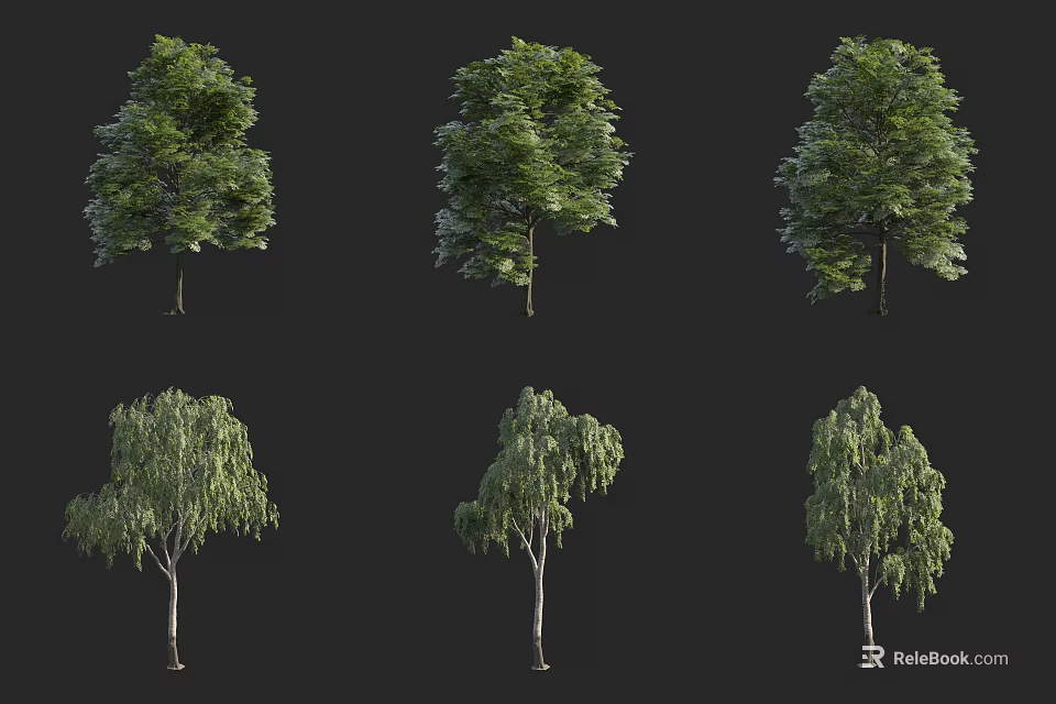 Various Types Of Arbor Trees With Green Foliage And Different Natural Shapes 3d model 