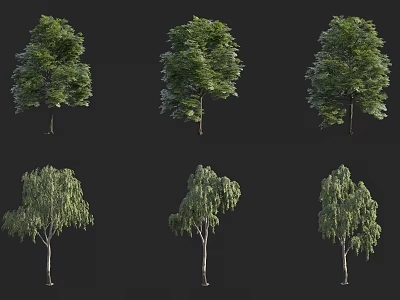 Various Types Of Arbor Trees With Green Foliage And Different Natural Shapes 3d model