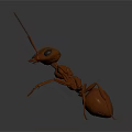Brown Origami Ant Model With Long Antennae Large Eyes And Six Legs On Dark Background