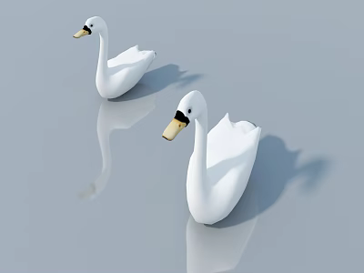 Two Graceful White Swans Floating On Calm Water With Clear Reflections 3d model