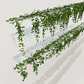 Lush Green Hanging Vines With Dense Leaves For Home Decor And Garden Decoration