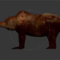 Reddish Brown Bear 3D Model With Detailed Texture And Realistic Rendering