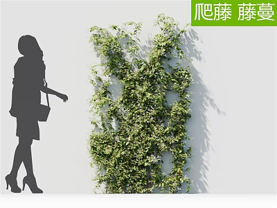 Lush Green Climbing Vines Growing On White Wall With Female Silhouette 3d model