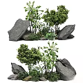 Lush Green Plants With White Flowers And Rocks
