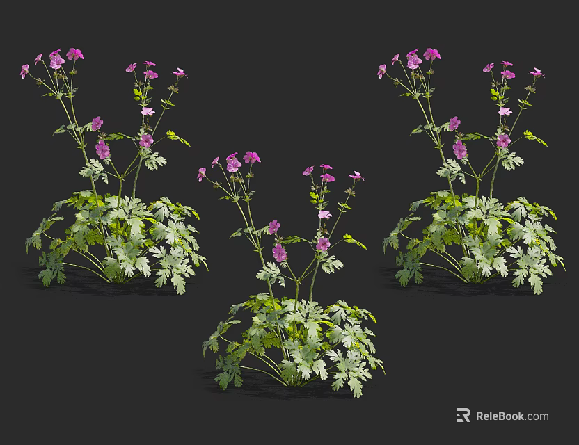 Beautiful Purple Flowers With Green Leaves In Lush Garden 3d model 