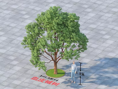 Arbor With 15cm Diameter 3m Height On Gray Paved Ground With Lawn And Person Nearby 3d model