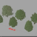 Cherry Plum Trees In Various Forms With Green Foliage For Landscape 3d model