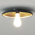 Modern Ceiling Lights With Various Styles And Materials For Home Lighting 3d model