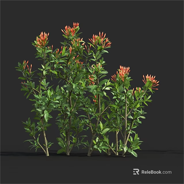Vibrant Red Flowers With Lush Green Leaves On Tall Stems In Natural Plant 3d model 