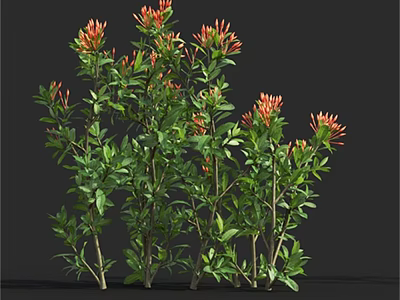 Vibrant Red Flowers With Lush Green Leaves On Tall Stems In Natural Plant 3d model