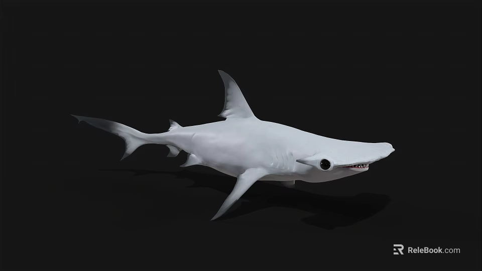 Realistic White Shark Model With Sharp Teeth And Detailed Fins 3d model 