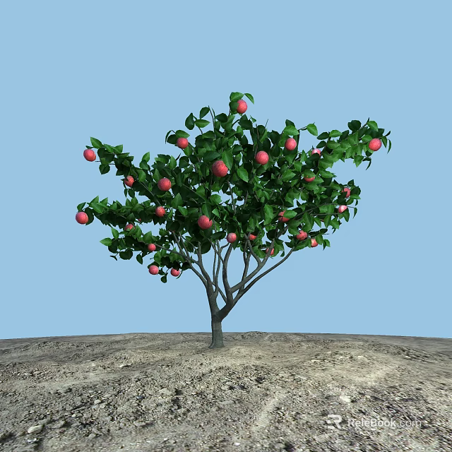 Apple Tree With Ripe Red Fruits Green Leaves Growing On Soil Under Blue Sky 3d model 