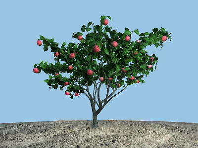 Apple Tree With Ripe Red Fruits Green Leaves Growing On Soil Under Blue Sky 3d model