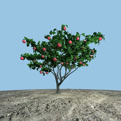apple tree 3d model apple tree 3d model