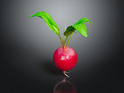 Fresh Red Radish With Green Leaves On Dark Background And Reflection 3d model