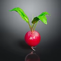 Fresh Red Radish With Green Leaves On Dark Background And Reflection 3d model