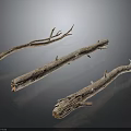 Dried Plant Branches with Natural Texture for Home Decor on Smooth Dark Surface