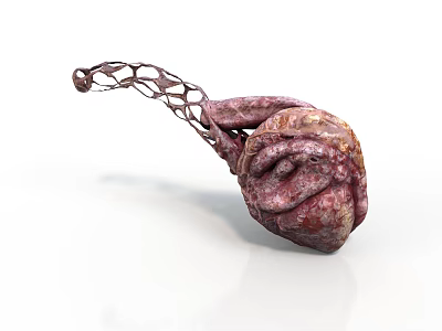 3D Rendered Organ With Hair Like Fibrous Structure And Textured Marbled Surface 3d model